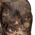 Костюм Remington 3 в 1 Blizzard Timber